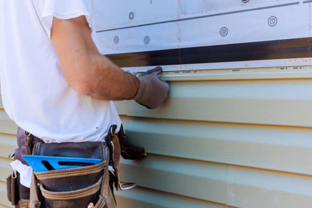 Affordable Vinyl Siding solutions in Streamwood, IL